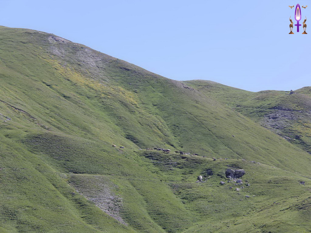 Croix de Lumière, Photo de la Série R No 15 