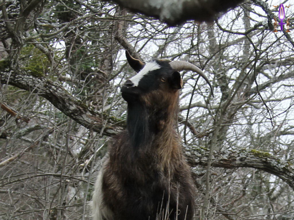 Croix de Lumière, Photo de la Série R No 24 