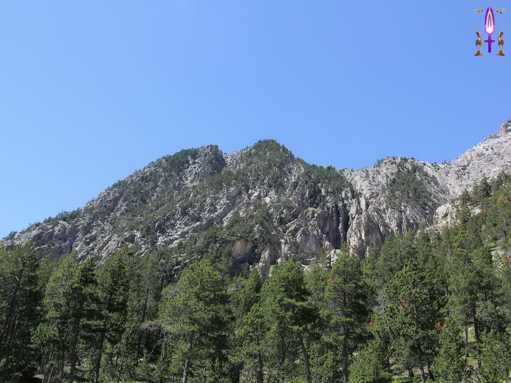 Croix de Lumière, Photo de la Série R No 31 
