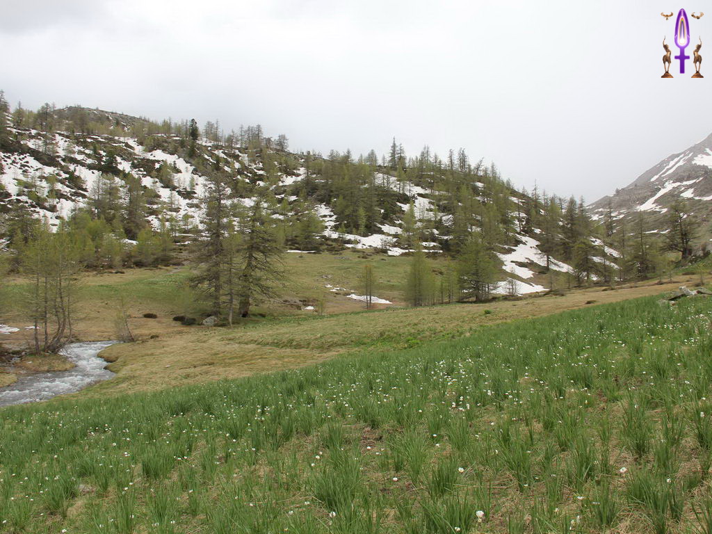 Croix de Lumière, Photo de la Série R No 33 
