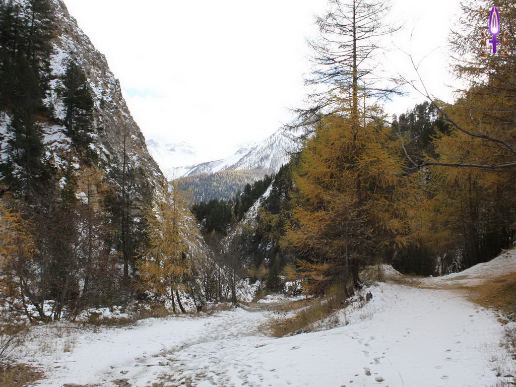Croix de Lumière, Photo de la Série R No 41 
