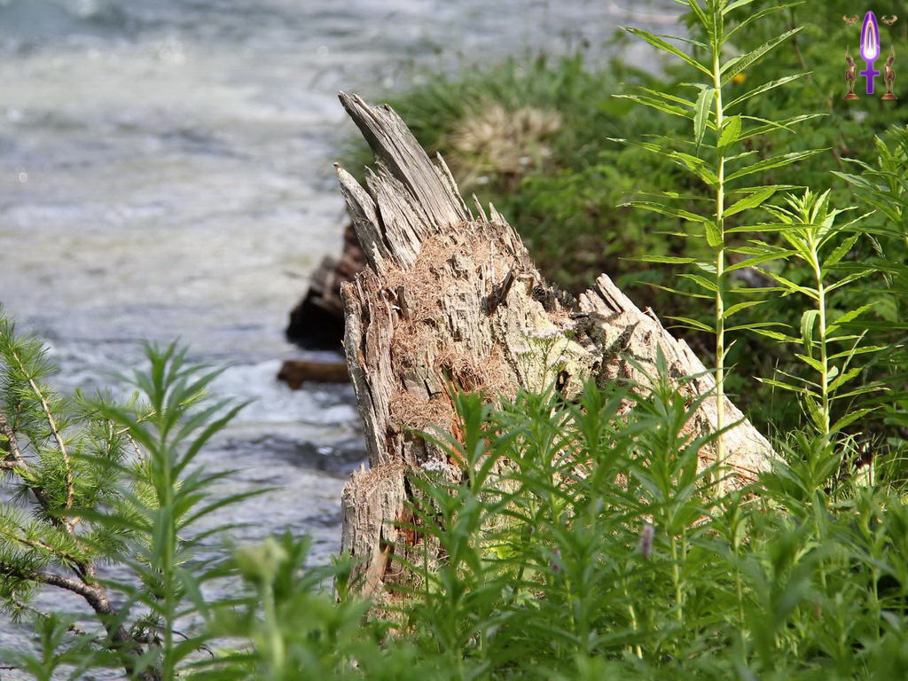 Croix de Lumière, Photo de la Série R No 48 
