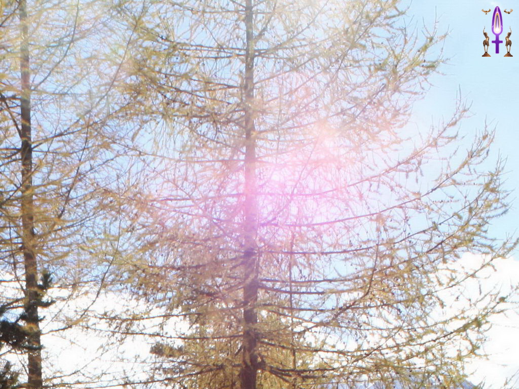 Croix de Lumière, Photo de la Série R No 51 