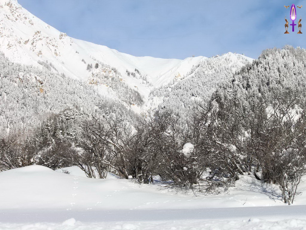 Croix de Lumière, Photo de la Série R No 62 