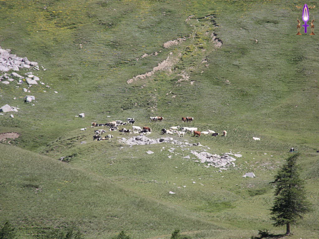 Croix de Lumière, Photo de la Série R No 63 
