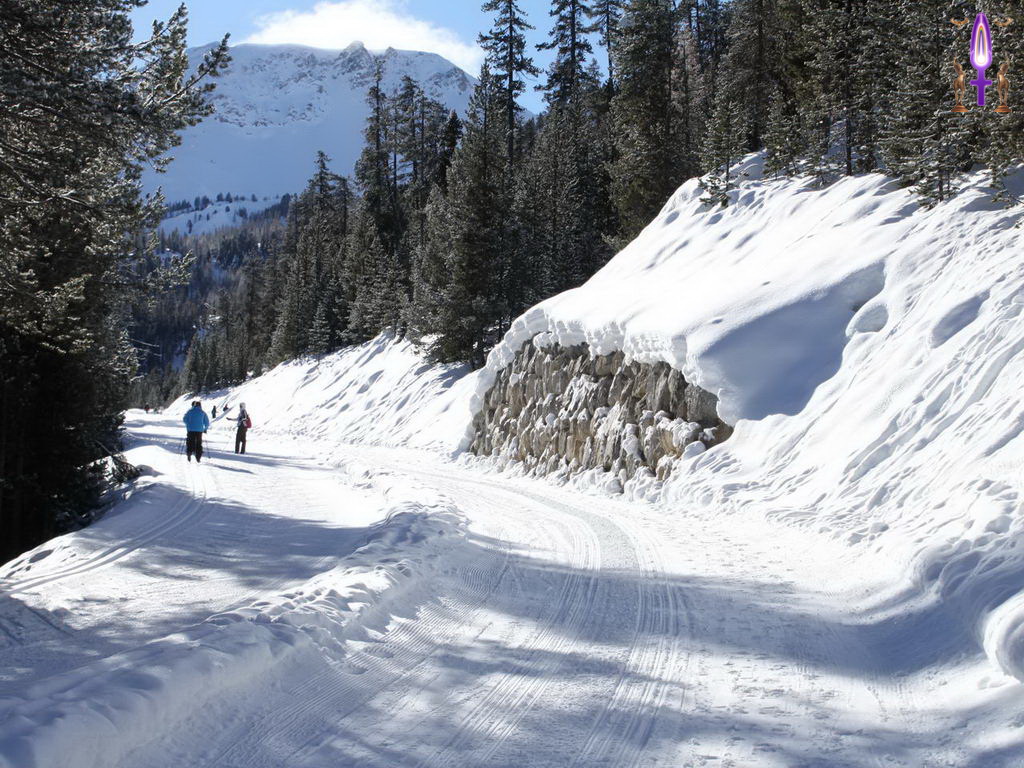 Croix de Lumière, Photo de la Série R No 65 