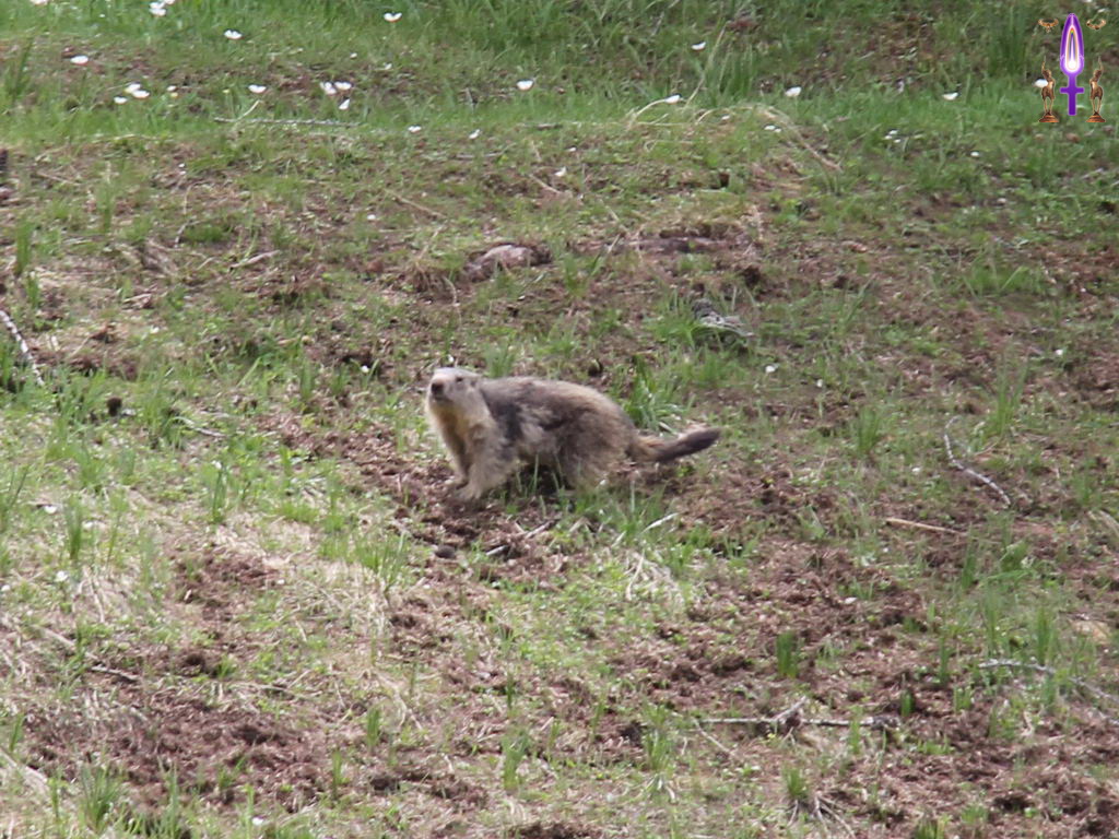 Croix de Lumière, Photo de la Série R No 67 