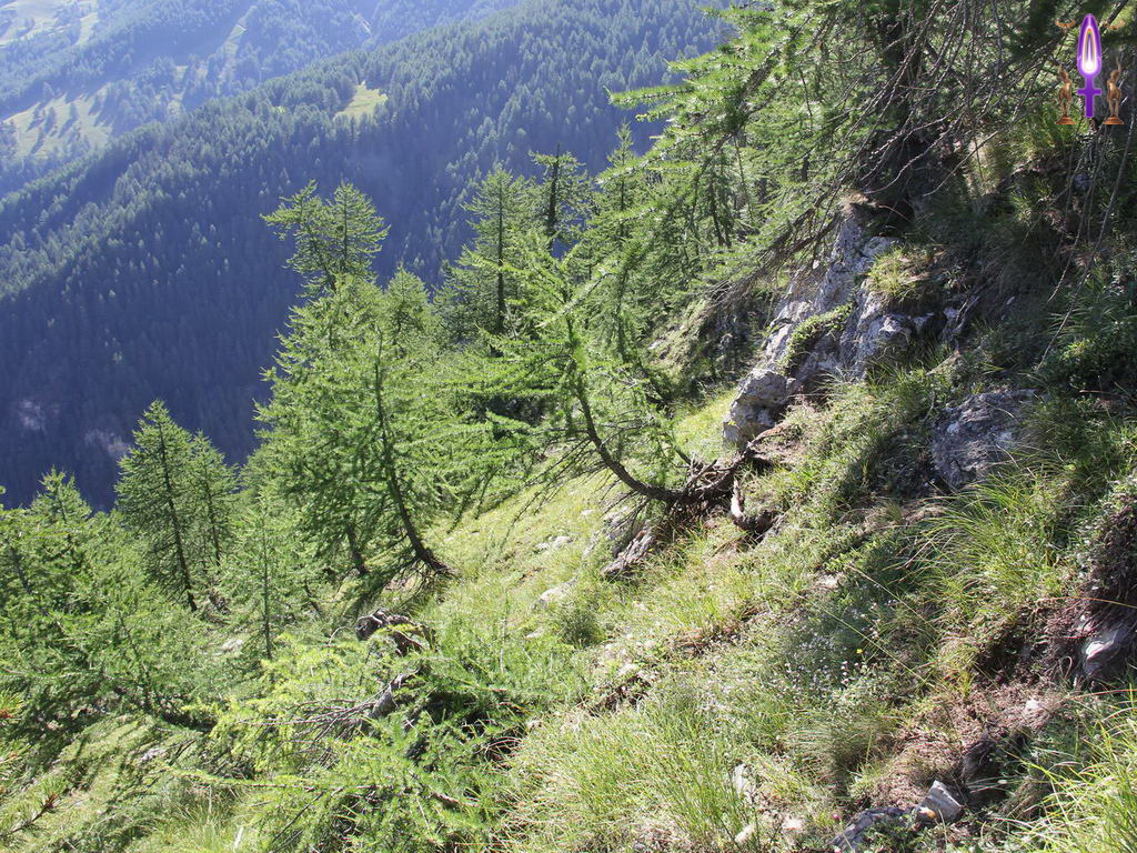 Croix de Lumière, Photo de la Série R No 92 