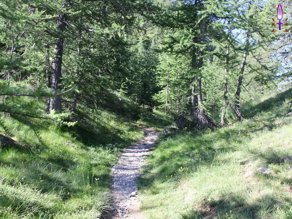 Croix de Lumière, Photo de la Série R No 93 