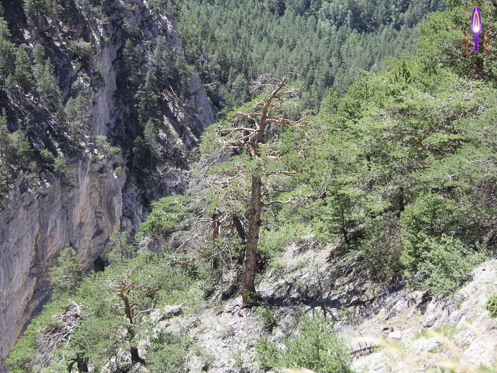 Croix de Lumière, Photo de la Série R No 95 