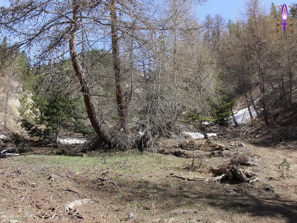 Croix de Lumière, Photo de la Série R No 103 