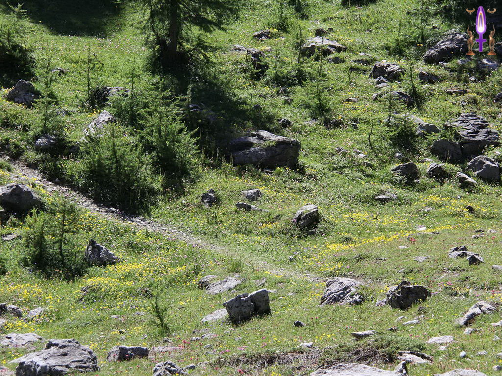 Croix de Lumière, Photo de la Série R No 105 