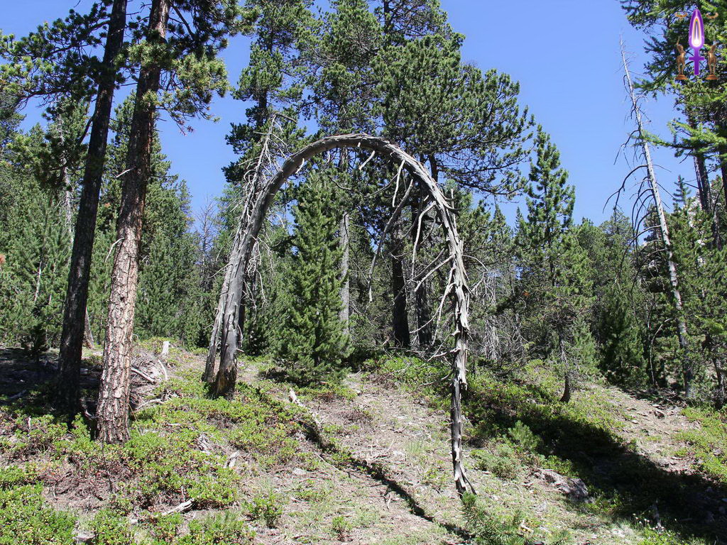 Croix de Lumière, Photo de la Série R No 107 
