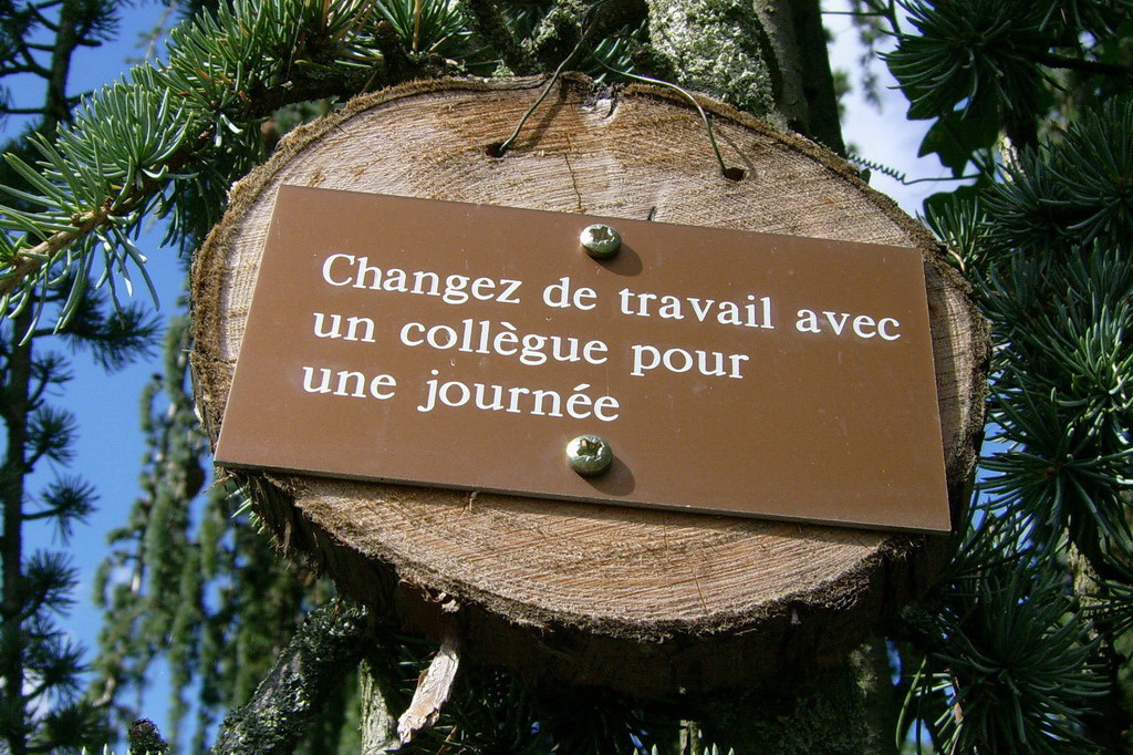 Croix de Lumière,, Arbre de Réagir, photo d'Isapierre No 2...