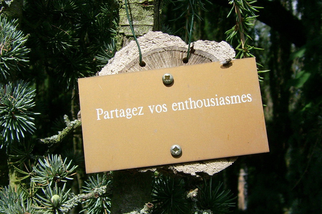 Croix de Lumière,, Arbre de Réagir, photo d'Isapierre No 4...