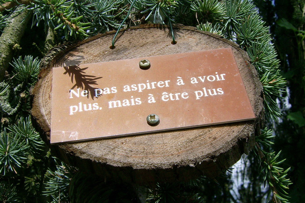 Croix de Lumière,, Arbre de Réagir, photo d'Isapierre No 5...