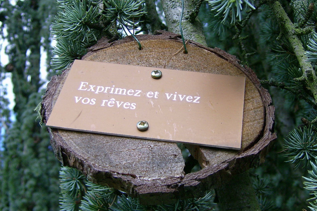 Croix de Lumière,, Arbre de Réagir, photo d'Isapierre No 7...