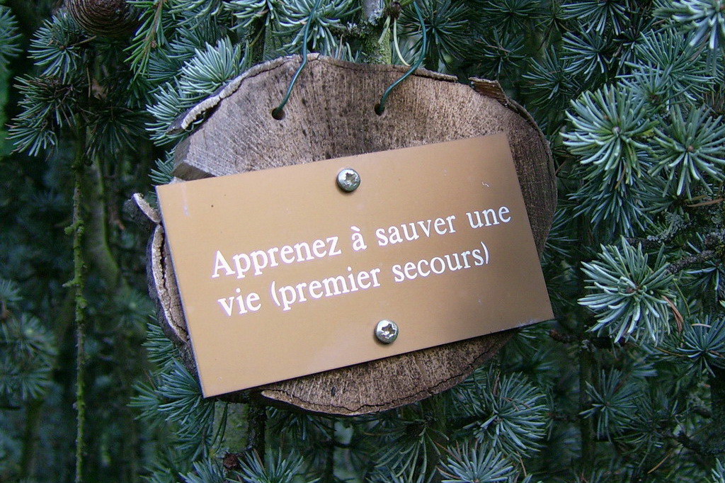 Croix de Lumière,, Arbre de Réagir, photo d'Isapierre No 8...