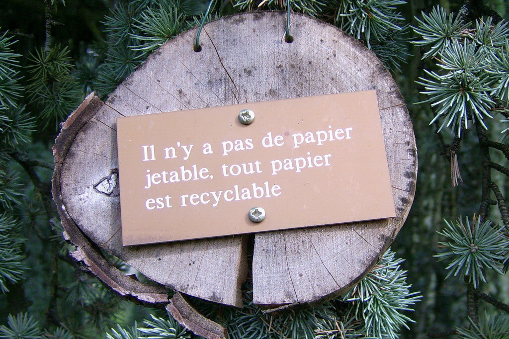 Croix de Lumière,, Arbre de Réagir, photo d'Isapierre No 10...