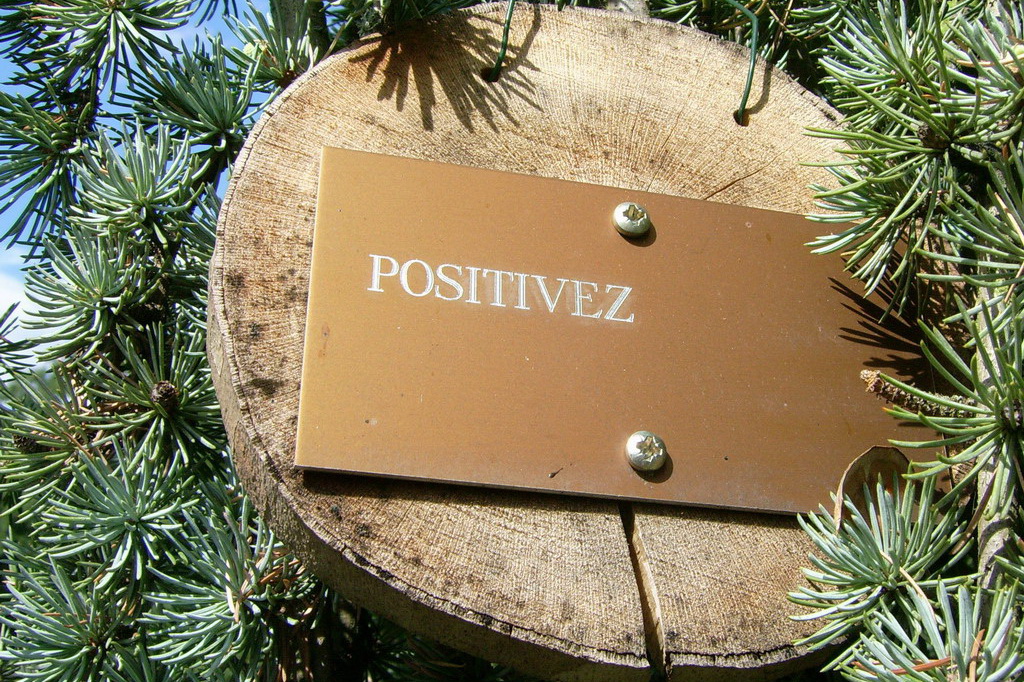 Croix de Lumière,, Arbre de Réagir, photo d'Isapierre No 12...