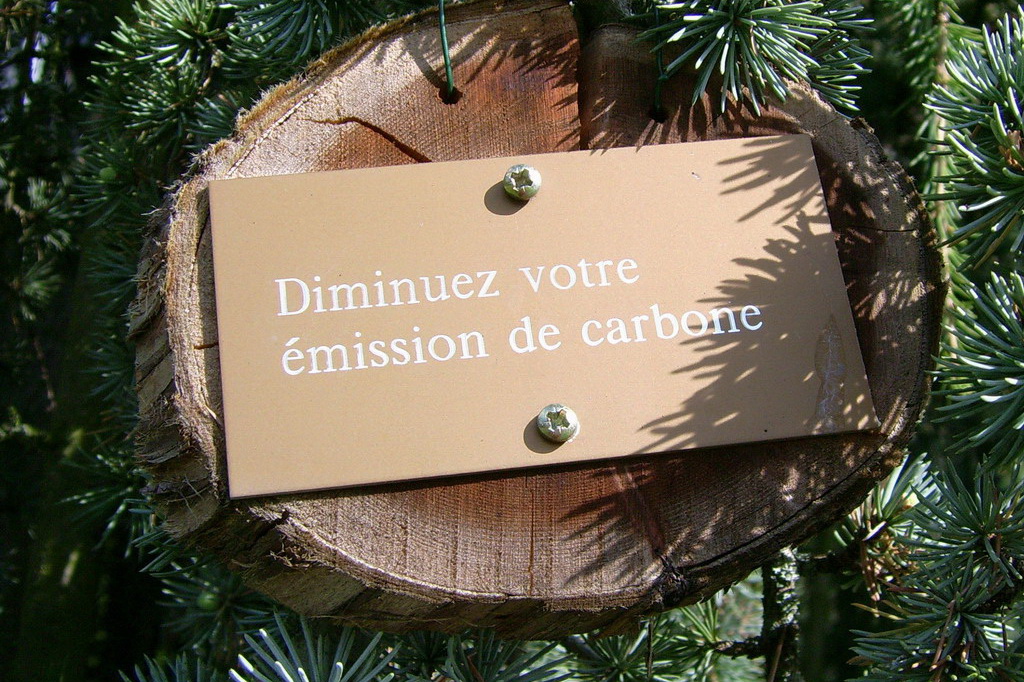 Croix de Lumière,, Arbre de Réagir, photo d'Isapierre No 13...