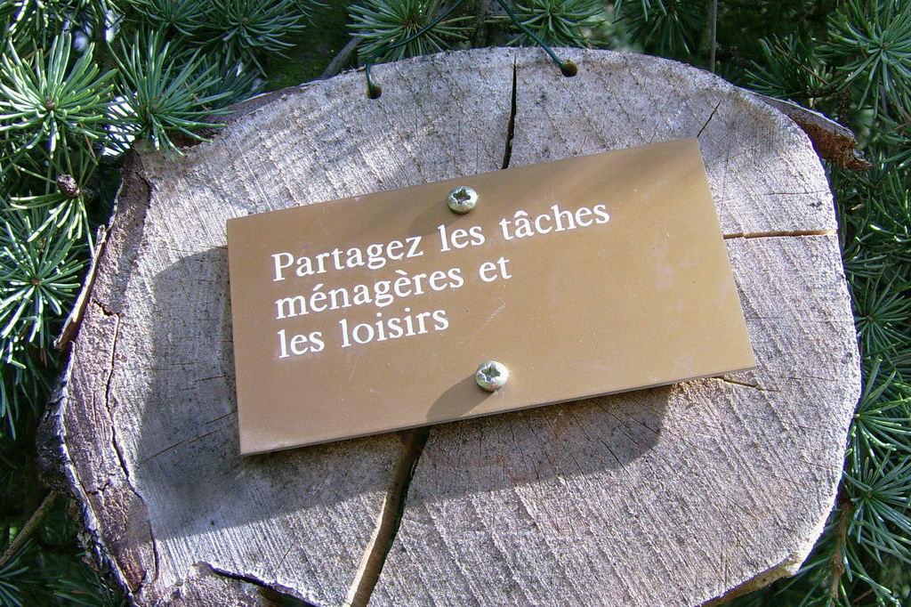 Croix de Lumière,, Arbre de Réagir, photo d'Isapierre No 14...