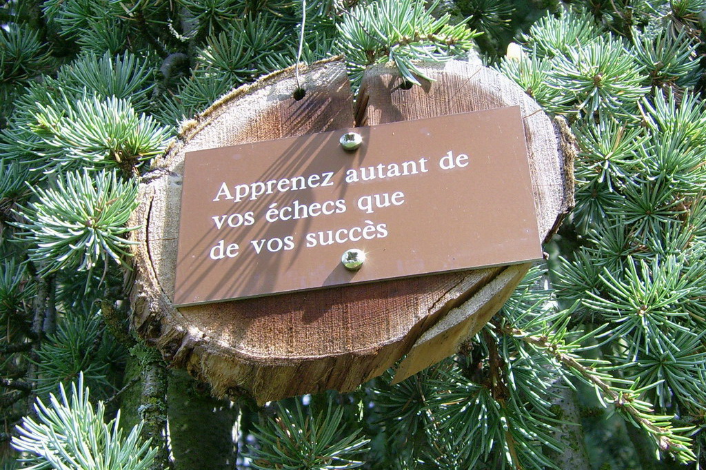 Croix de Lumière,, Arbre de Réagir, photo d'Isapierre No 15...