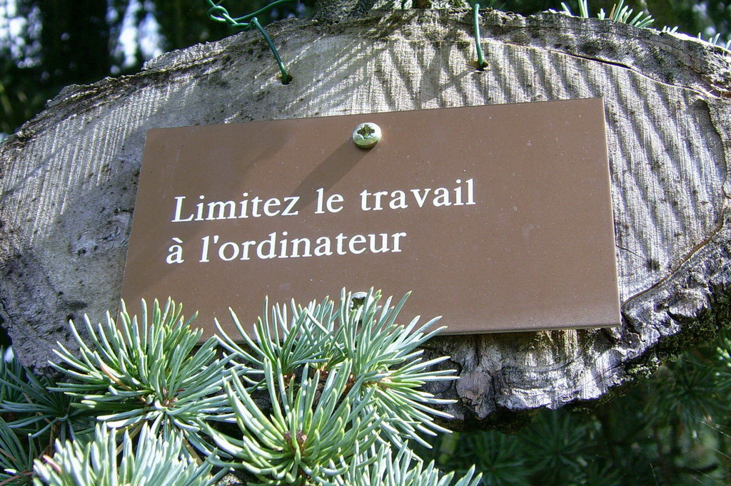 Croix de Lumière,, Arbre de Réagir, photo d'Isapierre No 16...