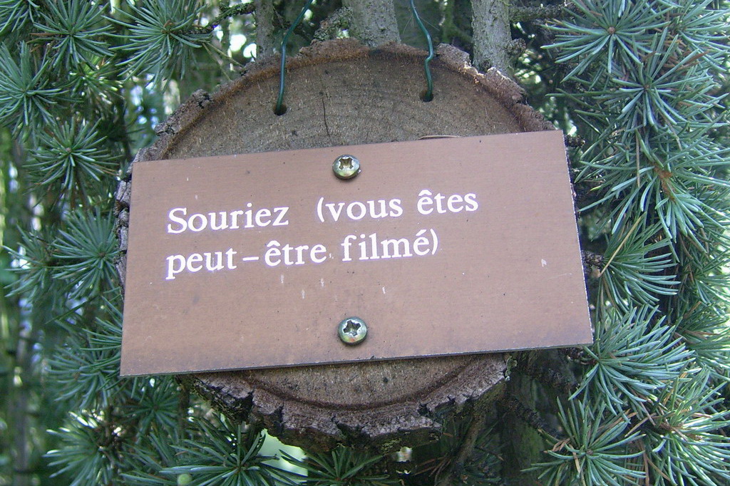 Croix de Lumière,, Arbre de Réagir, photo d'Isapierre No 17...