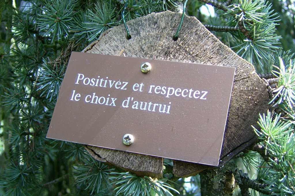 Croix de Lumière,, Arbre de Réagir, photo d'Isapierre No 18...