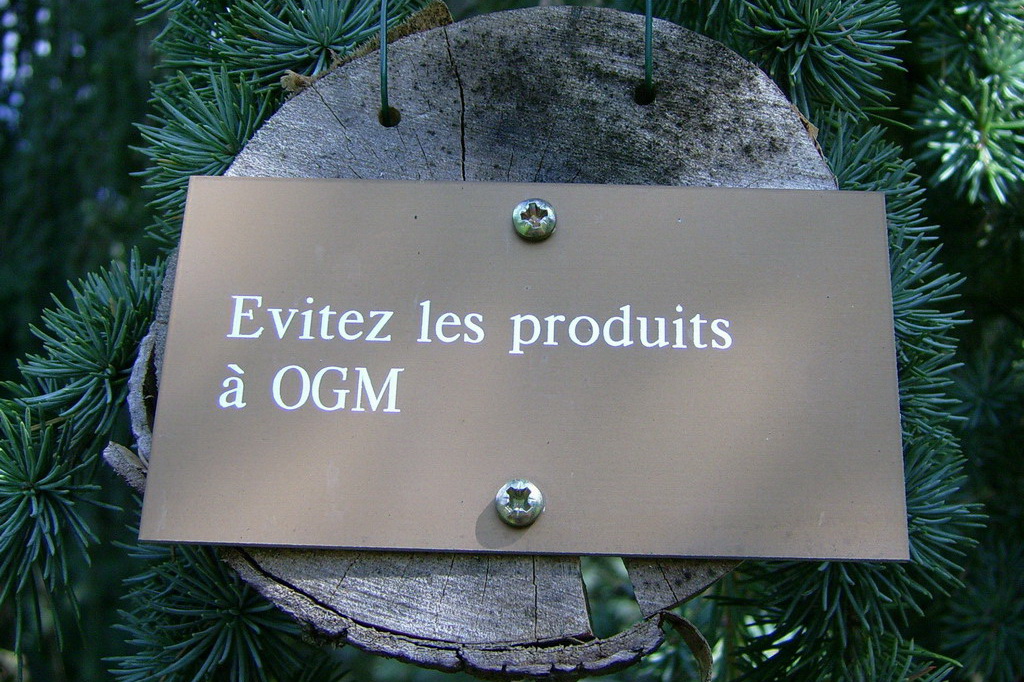 Croix de Lumière,, Arbre de Réagir, photo d'Isapierre No 19...