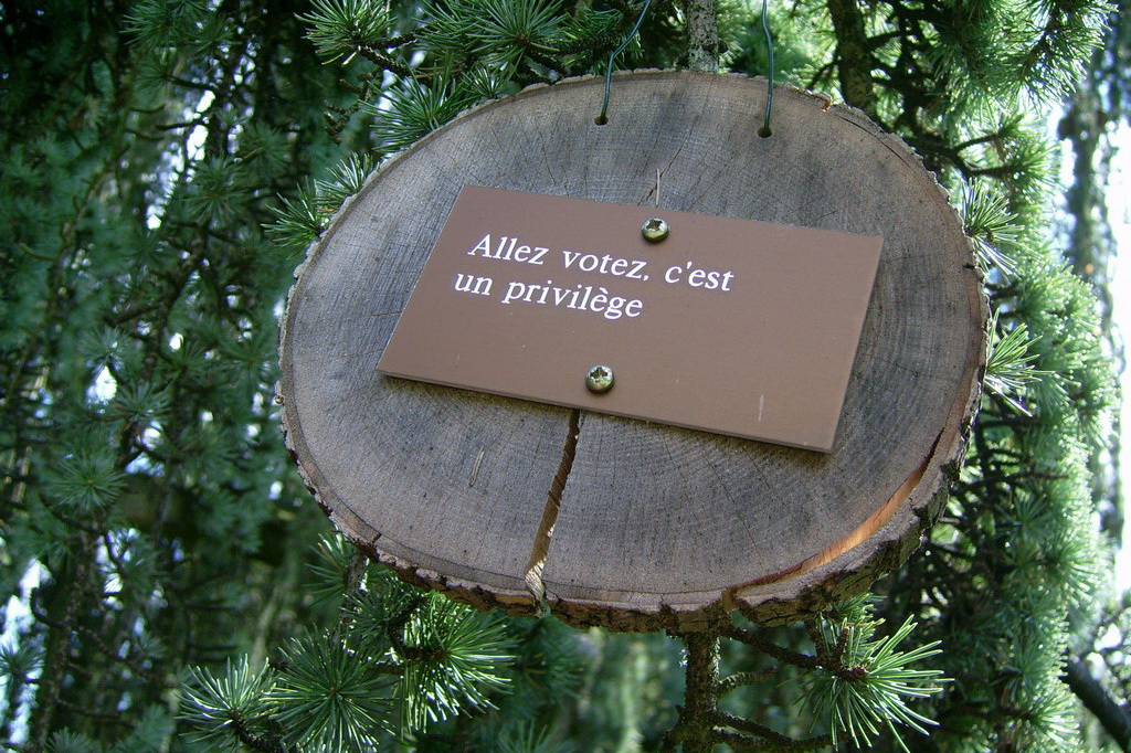 Croix de Lumière,, Arbre de Réagir, photo d'Isapierre No 22...