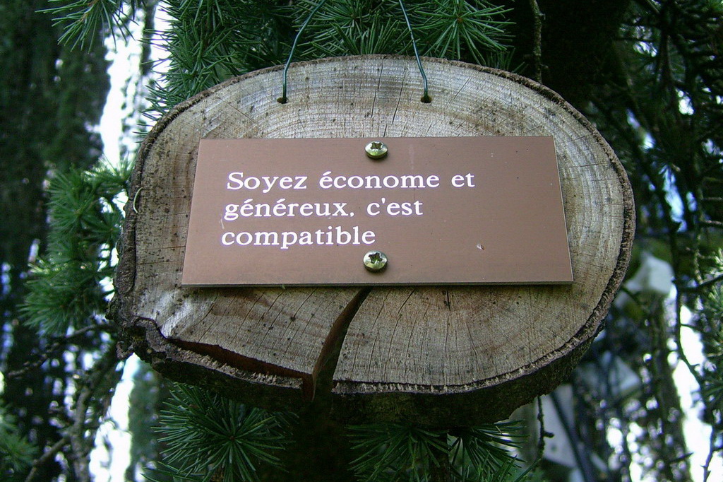 Croix de Lumière,, Arbre de Réagir, photo d'Isapierre No 23...