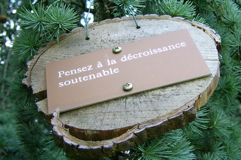 Croix de Lumière,, Arbre de Réagir, photo d'Isapierre No 24...