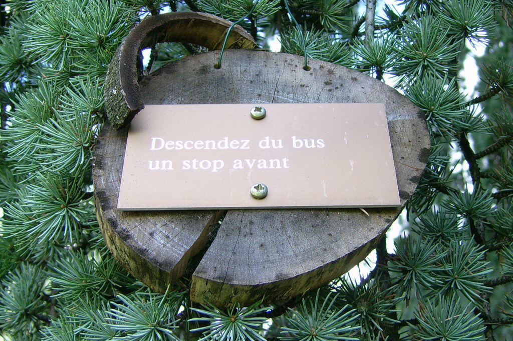 Croix de Lumière,, Arbre de Réagir, photo d'Isapierre No 25...