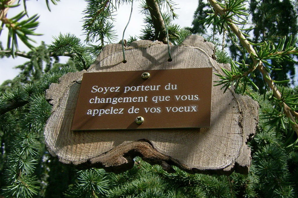 Croix de Lumière,, Arbre de Réagir, photo d'Isapierre No 27...