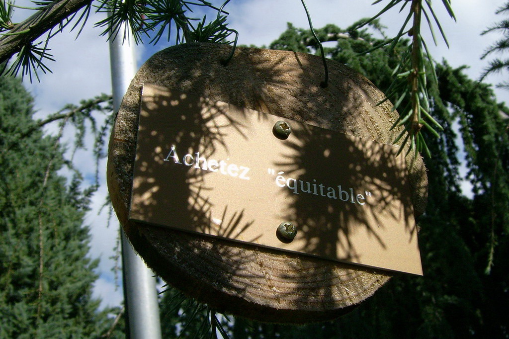 Croix de Lumière,, Arbre de Réagir, photo d'Isapierre No 29...