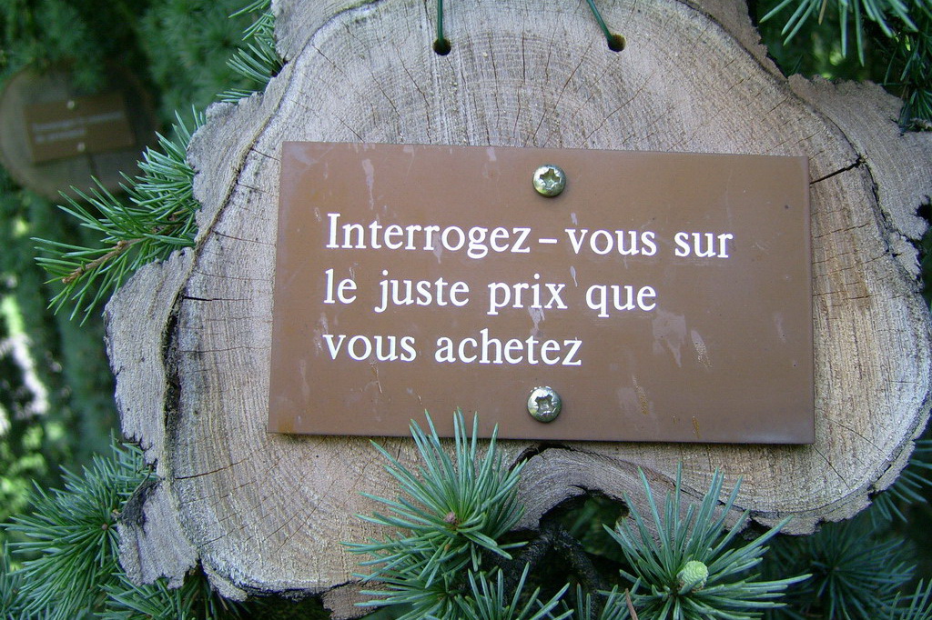 Croix de Lumière,, Arbre de Réagir, photo d'Isapierre No 30...