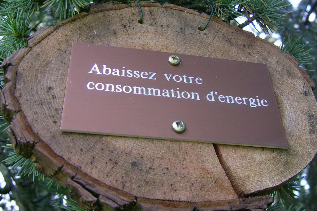 Croix de Lumière,, Arbre de Réagir, photo d'Isapierre No 32...