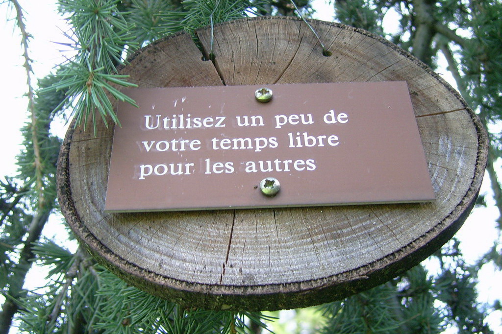 Croix de Lumière,, Arbre de Réagir, photo d'Isapierre No 33...