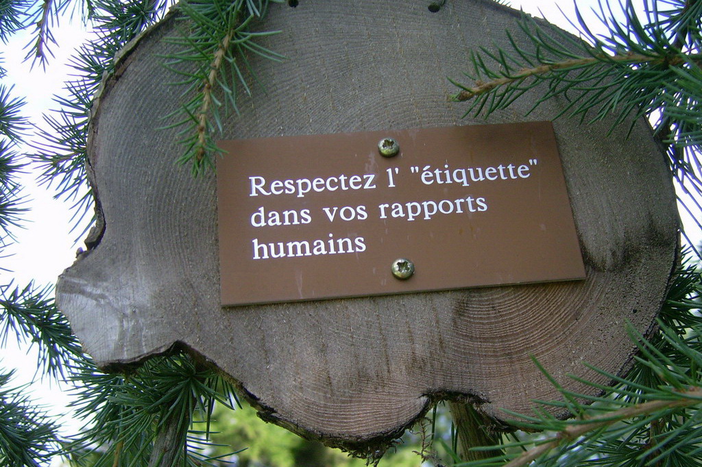 Croix de Lumière,, Arbre de Réagir, photo d'Isapierre No 34...