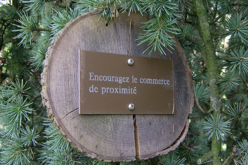 Croix de Lumière,, Arbre de Réagir, photo d'Isapierre No 35...
