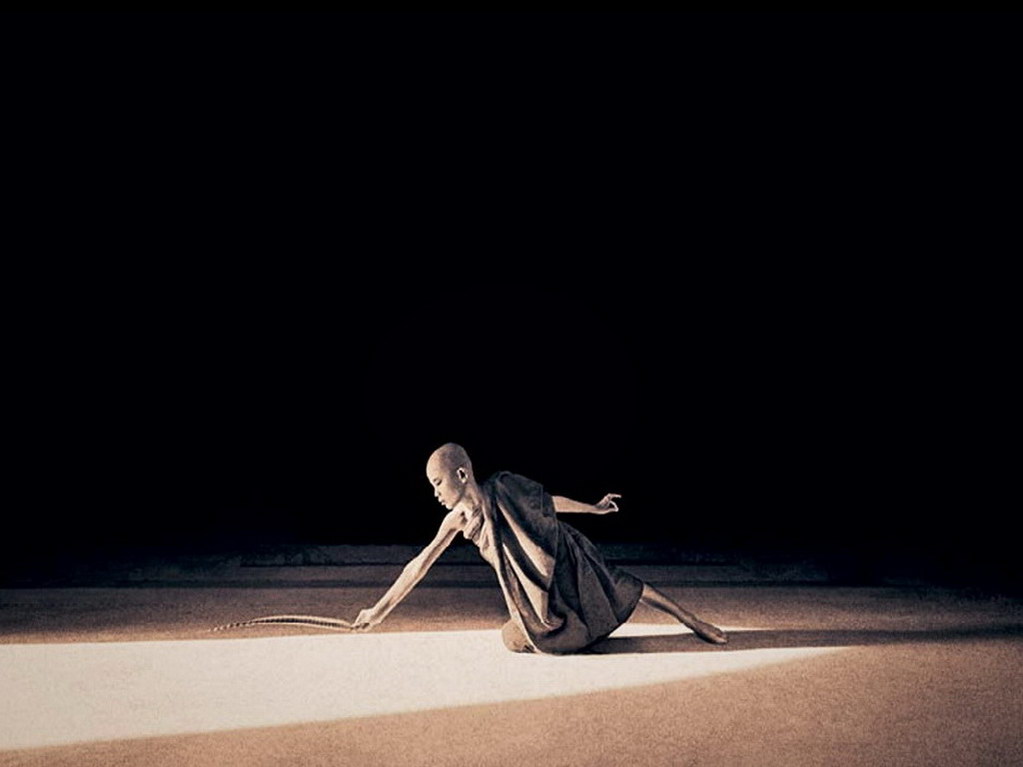 Croix de Lumière, Photo Ashes and snow No 3 