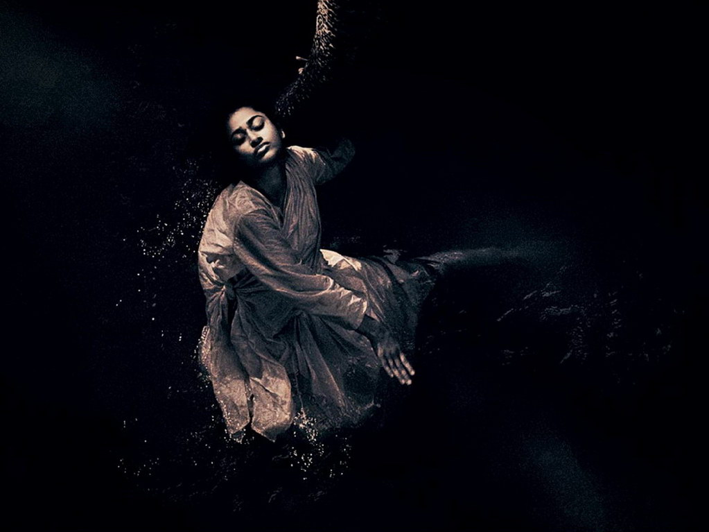 Croix de Lumière, Photo Ashes and snow No 5 