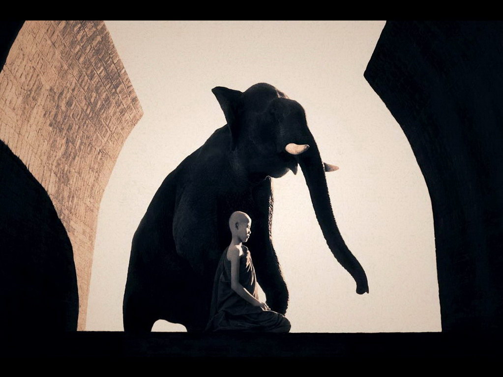 Croix de Lumière, Photo Ashes and snow No 9 