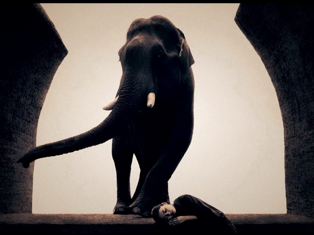 Croix de Lumière, Photo Ashes and snow No 010 