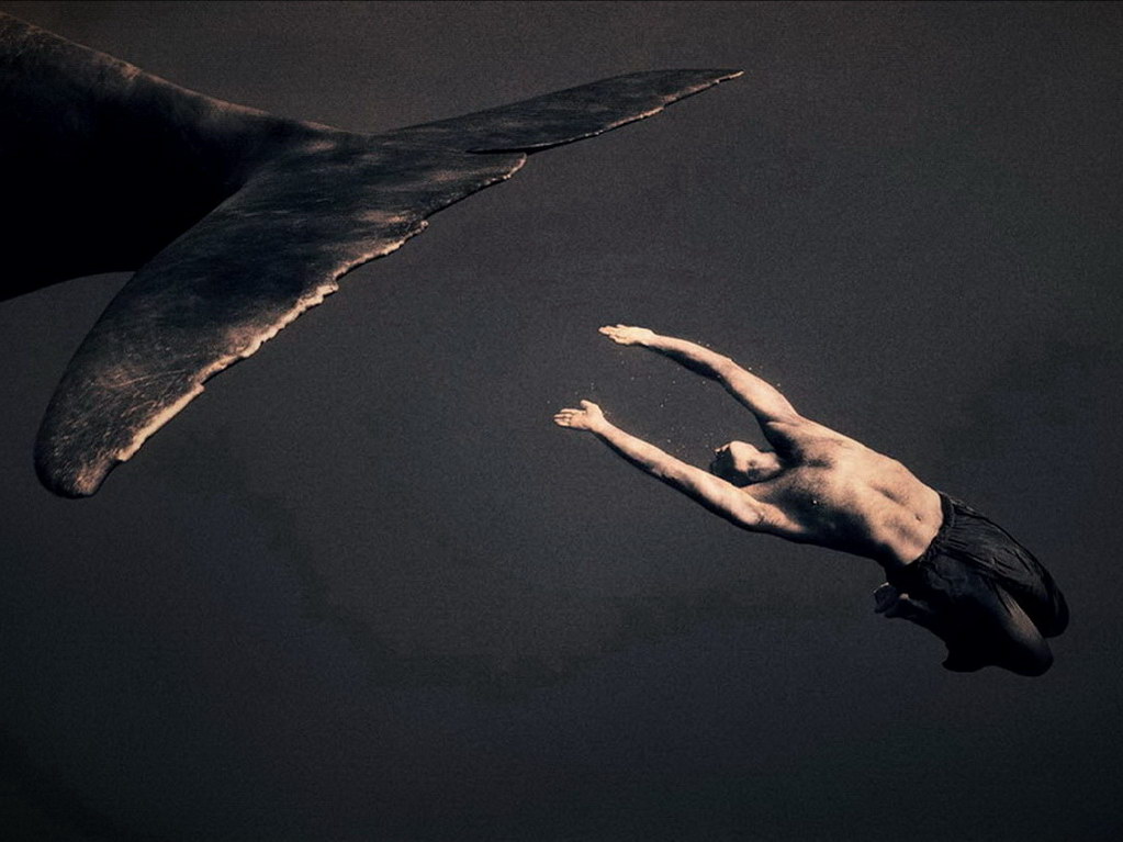 Croix de Lumière, Photo Ashes and snow No 11 