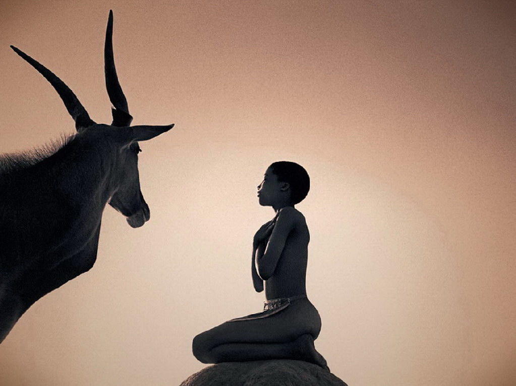 Croix de Lumière, Photo Ashes and snow No 13 