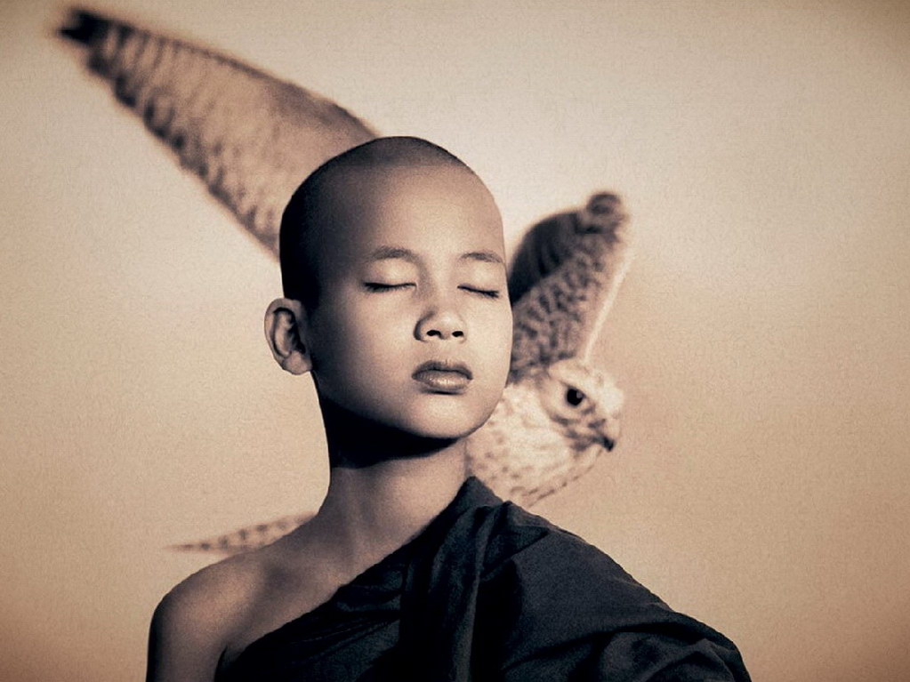 Croix de Lumière, Photo Ashes and snow No 14 