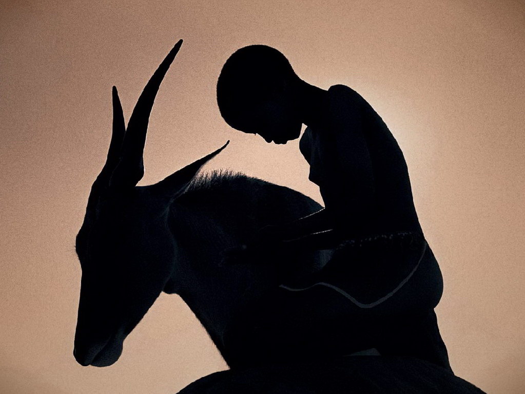 Croix de Lumière, Photo Ashes and snow No 16 